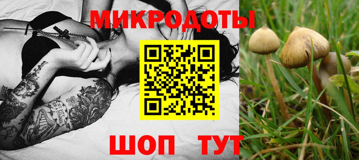 Псилоцибиновые грибы Magic Shrooms  Вход с VPN  Новокубанск 
