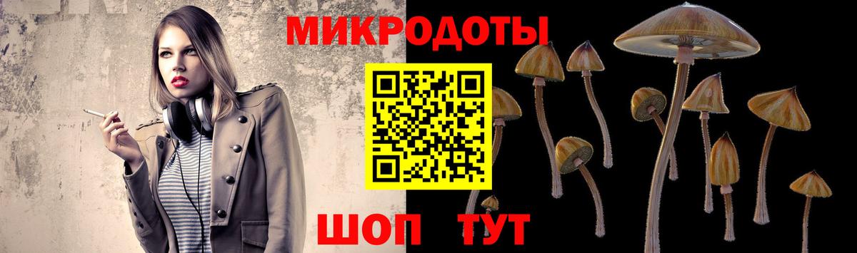 Псилоцибиновые грибы Psilocybe Новокубанск